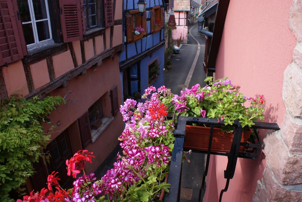 Hotel Restaurant Le Schlossberg Zellenberg Kültér fotó